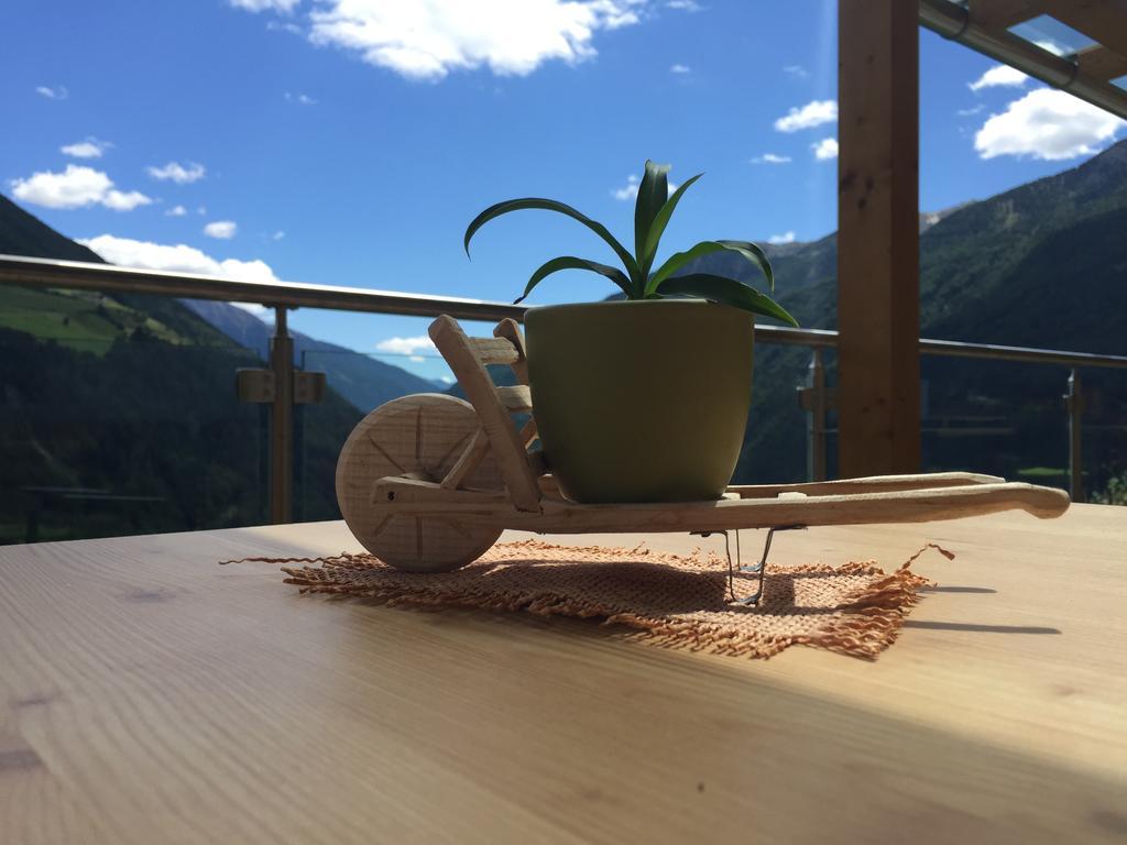 Grossstahlhof Mountain & Panorama View Apartment Ahrntal Exterior foto