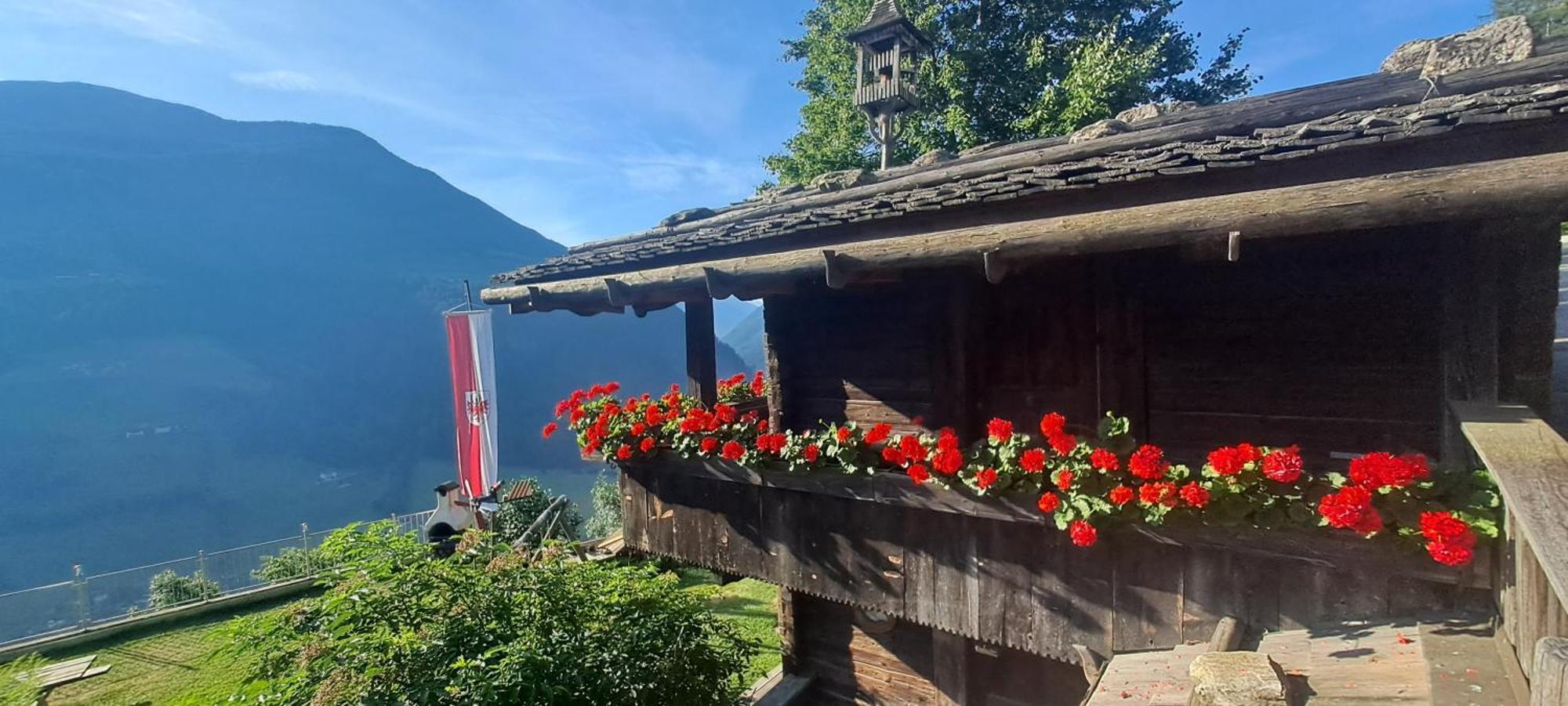 Grossstahlhof Mountain & Panorama View Apartment Ahrntal Exterior foto