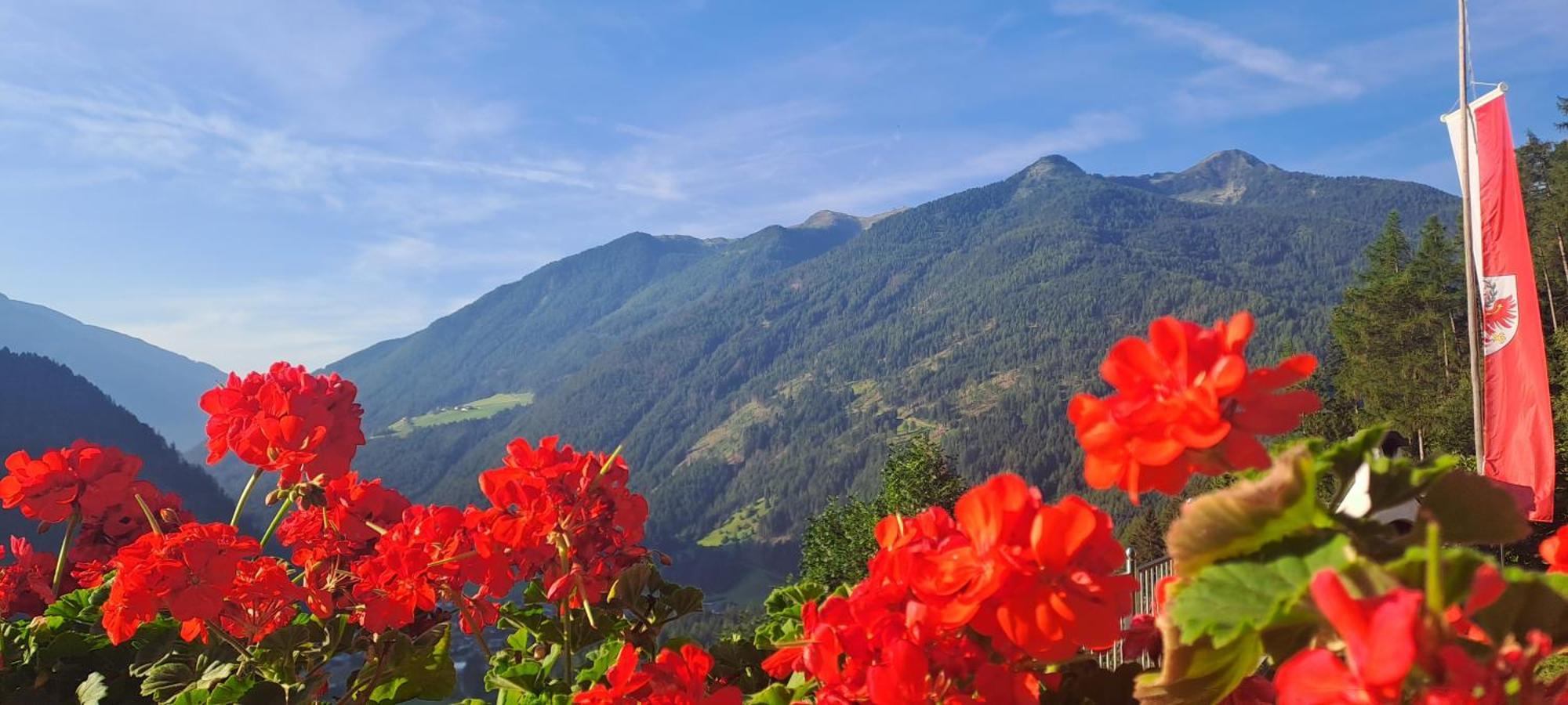 Grossstahlhof Mountain & Panorama View Apartment Ahrntal Exterior foto