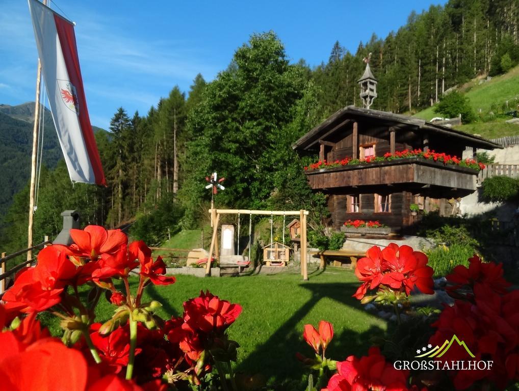 Grossstahlhof Mountain & Panorama View Apartment Ahrntal Exterior foto